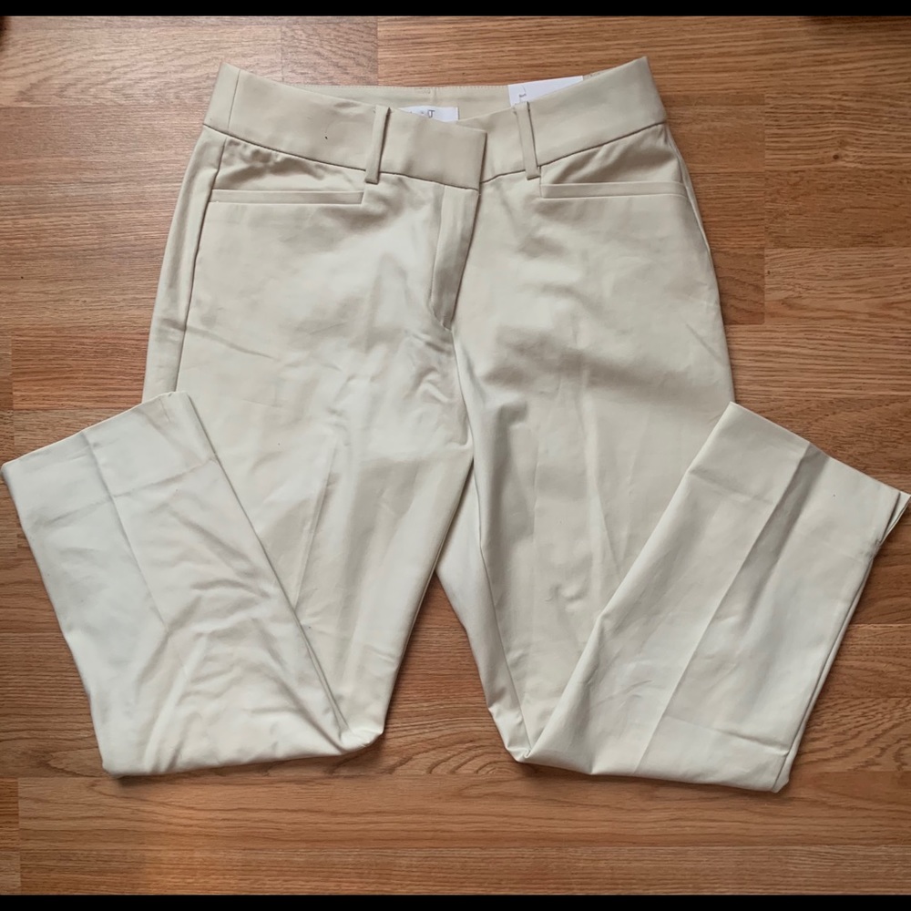 New LOFT Pants